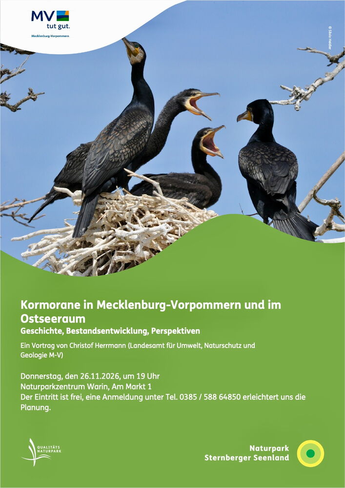 Vortrag