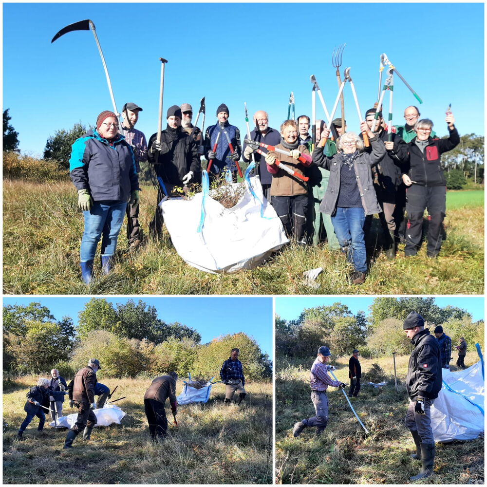 Schlüsselblumenwiese
