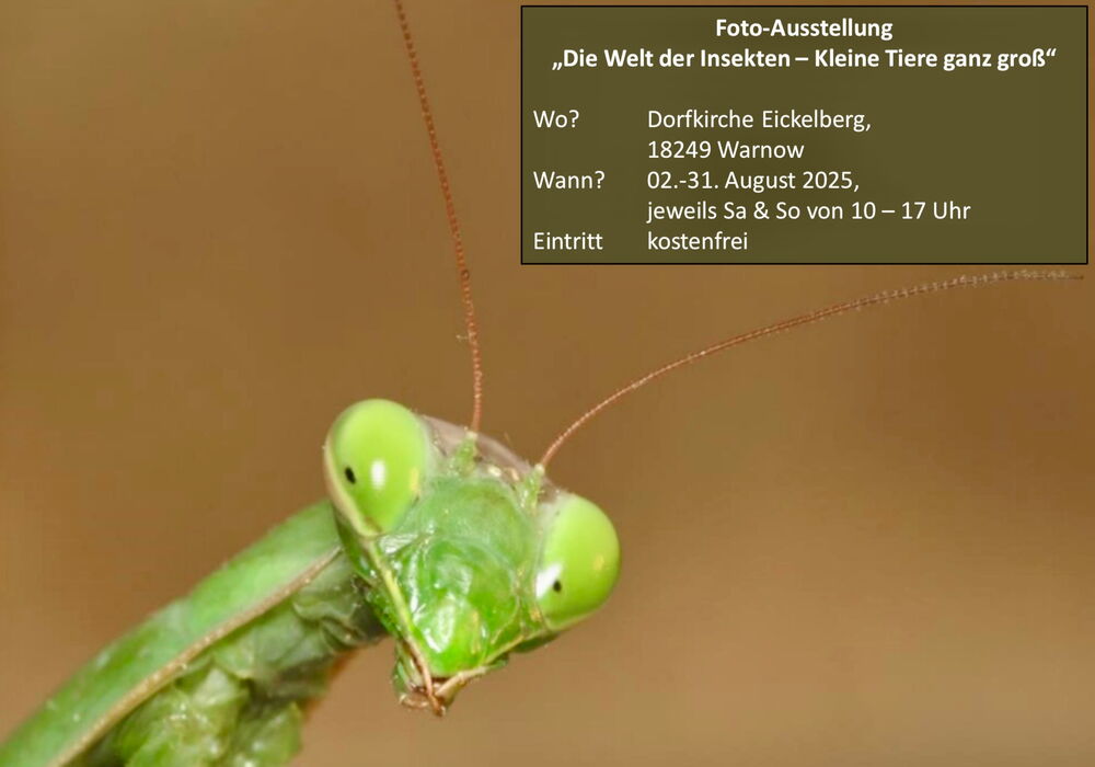 Fotoausstellung Eickelberg